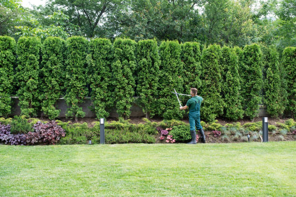 Best Artificial Turf Installation  in Westmont, NJ